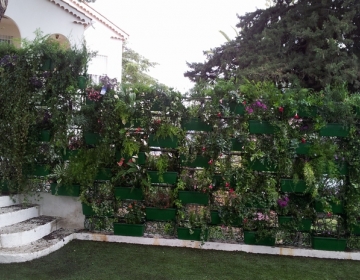 Roheseinad