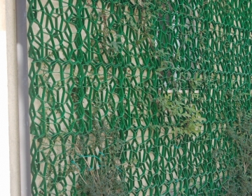 Roheseinad